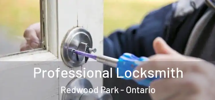 Professional Locksmith Redwood Park - Ontario